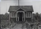 En stuga vid Kalmar södra koloniområde, fotograferad omkring 1930. Kalmar södra koloniförening grundades 1917 och har idag 105 kolonilotter. Området ligger strax söder om länssjukhuset i Kalmar med huvudingång från Stensbergsvägen.