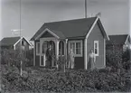 Några stugor, en man och två kvinnor i Kalmar södra koloniområde, fotograferat omkring 1930. Kalmar södra koloniförening grundades 1917 och har idag 105 kolonilotter. Området ligger strax söder om länssjukhuset i Kalmar med huvudingång från Stensbergsvägen.