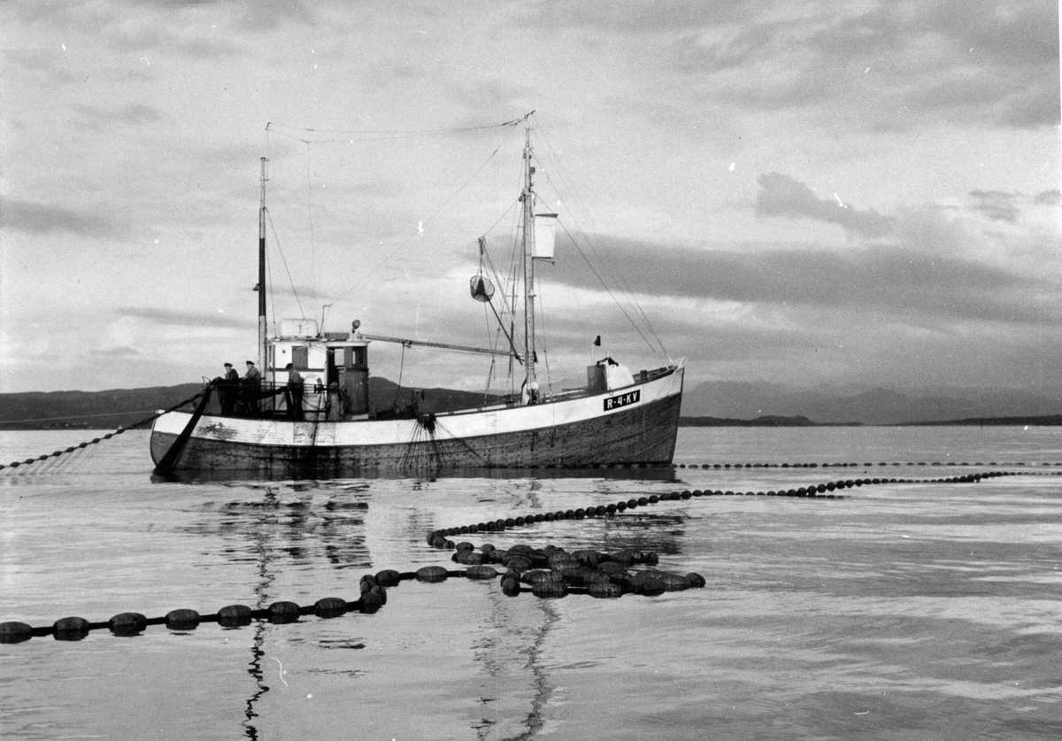 Båt, fiske, notfiske