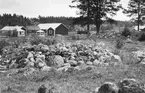 Stenröse vid Järvsta gravfält.