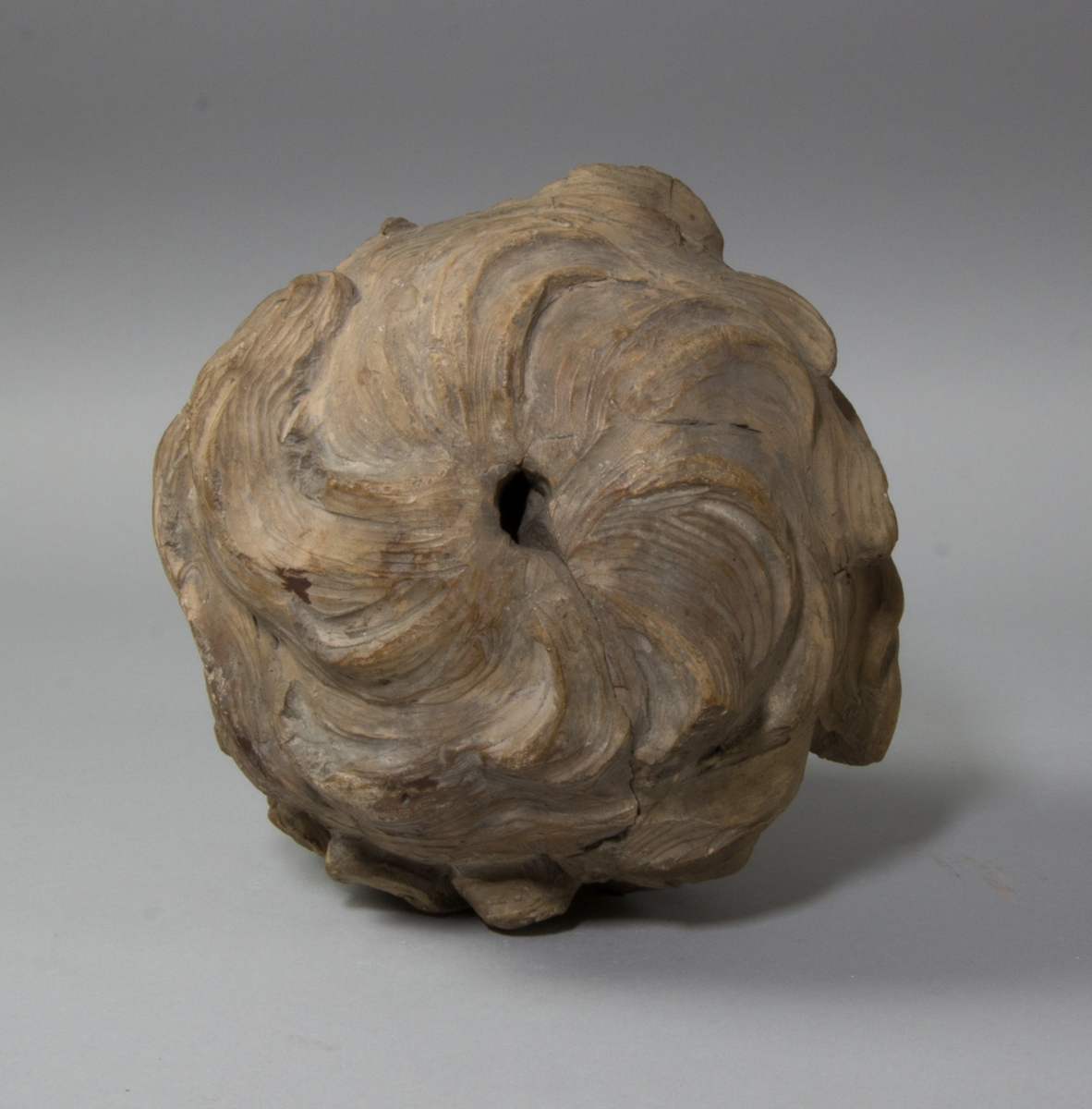 Barnhuvud, lockigt hår.