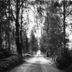 Vägen till Hälsingegården i Kåsjö.
