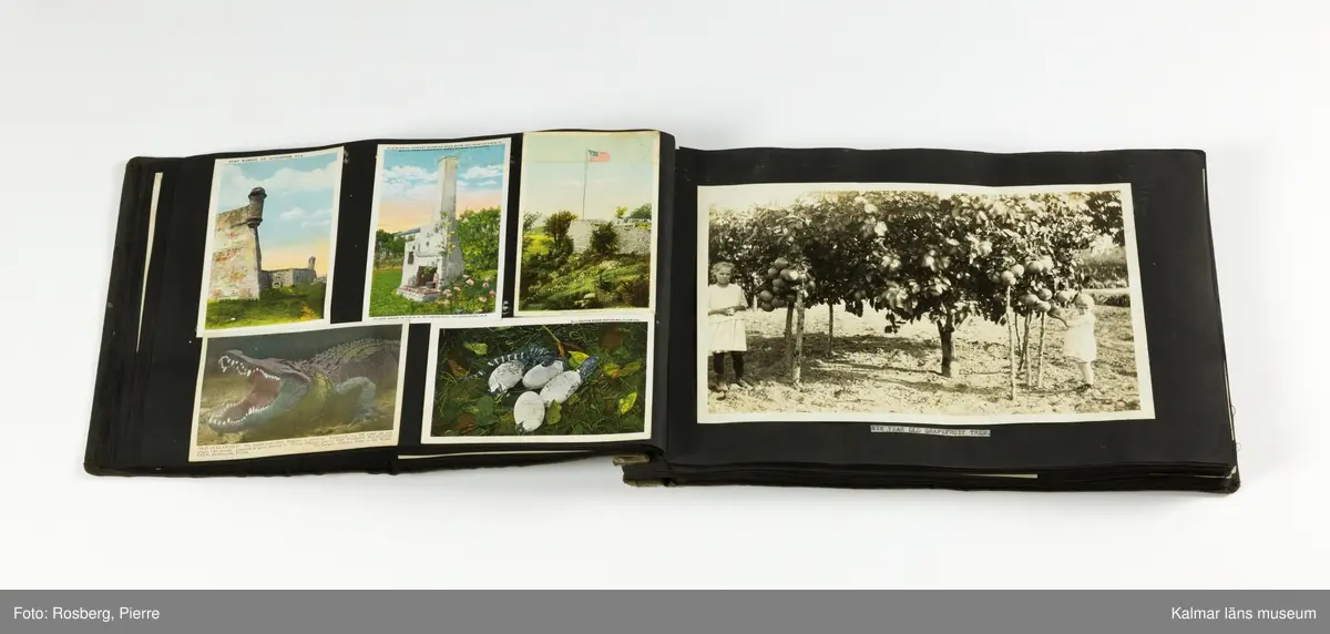 Fotografier med apelsinträd som nyplanterade och senare allteftersom de blir större. Arbete med fruktodling och industriell hantering när det tas om hand. Bilder som visar olika miljöer, bebyggelse och naturen, några bilder med djur.