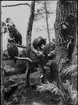 Diorama från Biologiska museets utställning om nordiskt djurliv i havs-, bergs- och skogsmiljö. Fotografi från omkring år 1900.
Biologiska museets utställning
Björn
Brunbjörn
Ursus Arctos (Linnaeus)
Berguv
Bubo Bubo (Linnaeus)