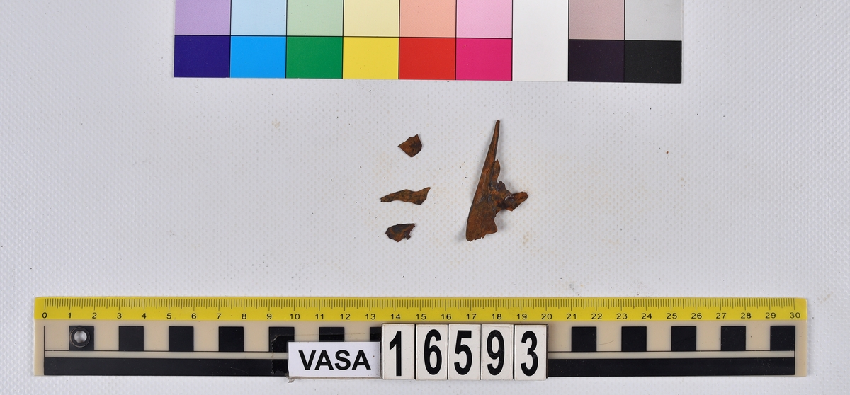 Ben från långa (Molva molva).
274 ben utöver en mängd av oräknade fenstrålar (lepidotrichia) och fenbärare (pterygiophori).
Benen består av 171 ben från olika huvuden och 103 från bål och stjärtar:
73 stjärtkotor (vertebrae caudales),
30 revben (costae),
12 (6+6) cleithra,
8 (5+3) praeopercularia,
7 (4+3) praemaxillaria,
7 (5+2) maxillaria,
7 (5+2) quadrata,
7 (4+3) dentalia,
7 (4+3) supracleithralia ventr.,
6 frontalia,
6 (4+2) ectopterygoidea,
6 (5+1) hyomandibularia,
6 (4+2) articularia,
6 (3+3) keratohyalia,
6 (4+2) scapulae,
5 ectehmoidalia,
5 (2+3) prootica,
5 lacrymalia,
5 (2+3) opercularia,
5 (2+3) interopercularia,
5 (4+1) palatina,
5 epihyalia,
4 (3+1) parietalia,
4 (1+3) pterotica,
4 supraoccipitalia,
4 vomeres,
3 (2+1) sphenotica,
3 exoccipitalia,
3 parasphenoidea,
3 supracleithralia dors.,
3 basipterygia,
2 mesethmoidalia,
1 intercalare,
1 infraorbitale post.,
1 symplecticum,
1 epioticum,
1 epibranchiale,
1 basihyale,
1 coracoideum.