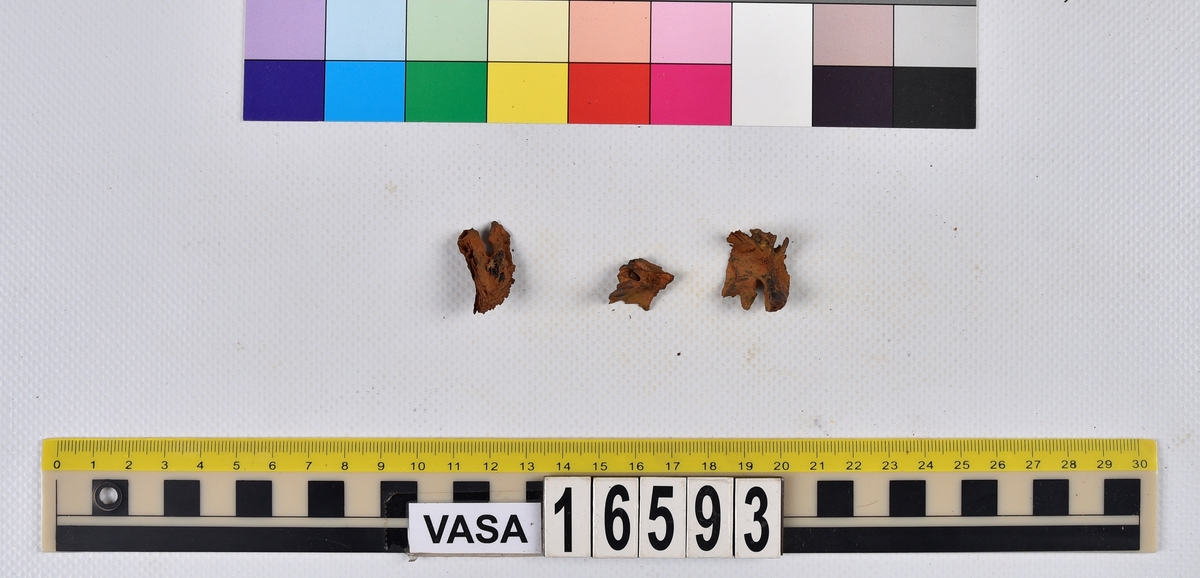 Ben från långa (Molva molva).
274 ben utöver en mängd av oräknade fenstrålar (lepidotrichia) och fenbärare (pterygiophori).
Benen består av 171 ben från olika huvuden och 103 från bål och stjärtar:
73 stjärtkotor (vertebrae caudales),
30 revben (costae),
12 (6+6) cleithra,
8 (5+3) praeopercularia,
7 (4+3) praemaxillaria,
7 (5+2) maxillaria,
7 (5+2) quadrata,
7 (4+3) dentalia,
7 (4+3) supracleithralia ventr.,
6 frontalia,
6 (4+2) ectopterygoidea,
6 (5+1) hyomandibularia,
6 (4+2) articularia,
6 (3+3) keratohyalia,
6 (4+2) scapulae,
5 ectehmoidalia,
5 (2+3) prootica,
5 lacrymalia,
5 (2+3) opercularia,
5 (2+3) interopercularia,
5 (4+1) palatina,
5 epihyalia,
4 (3+1) parietalia,
4 (1+3) pterotica,
4 supraoccipitalia,
4 vomeres,
3 (2+1) sphenotica,
3 exoccipitalia,
3 parasphenoidea,
3 supracleithralia dors.,
3 basipterygia,
2 mesethmoidalia,
1 intercalare,
1 infraorbitale post.,
1 symplecticum,
1 epioticum,
1 epibranchiale,
1 basihyale,
1 coracoideum.