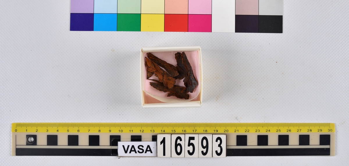 Ben från långa (Molva molva).
274 ben utöver en mängd av oräknade fenstrålar (lepidotrichia) och fenbärare (pterygiophori).
Benen består av 171 ben från olika huvuden och 103 från bål och stjärtar:
73 stjärtkotor (vertebrae caudales),
30 revben (costae),
12 (6+6) cleithra,
8 (5+3) praeopercularia,
7 (4+3) praemaxillaria,
7 (5+2) maxillaria,
7 (5+2) quadrata,
7 (4+3) dentalia,
7 (4+3) supracleithralia ventr.,
6 frontalia,
6 (4+2) ectopterygoidea,
6 (5+1) hyomandibularia,
6 (4+2) articularia,
6 (3+3) keratohyalia,
6 (4+2) scapulae,
5 ectehmoidalia,
5 (2+3) prootica,
5 lacrymalia,
5 (2+3) opercularia,
5 (2+3) interopercularia,
5 (4+1) palatina,
5 epihyalia,
4 (3+1) parietalia,
4 (1+3) pterotica,
4 supraoccipitalia,
4 vomeres,
3 (2+1) sphenotica,
3 exoccipitalia,
3 parasphenoidea,
3 supracleithralia dors.,
3 basipterygia,
2 mesethmoidalia,
1 intercalare,
1 infraorbitale post.,
1 symplecticum,
1 epioticum,
1 epibranchiale,
1 basihyale,
1 coracoideum.