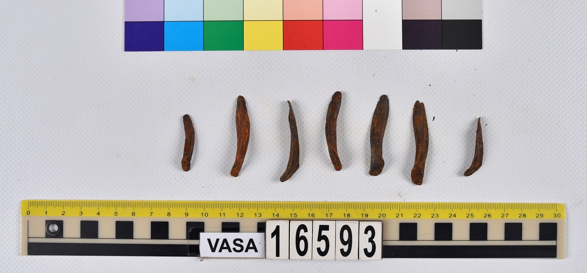 Ben från långa (Molva molva).
274 ben utöver en mängd av oräknade fenstrålar (lepidotrichia) och fenbärare (pterygiophori).
Benen består av 171 ben från olika huvuden och 103 från bål och stjärtar:
73 stjärtkotor (vertebrae caudales),
30 revben (costae),
12 (6+6) cleithra,
8 (5+3) praeopercularia,
7 (4+3) praemaxillaria,
7 (5+2) maxillaria,
7 (5+2) quadrata,
7 (4+3) dentalia,
7 (4+3) supracleithralia ventr.,
6 frontalia,
6 (4+2) ectopterygoidea,
6 (5+1) hyomandibularia,
6 (4+2) articularia,
6 (3+3) keratohyalia,
6 (4+2) scapulae,
5 ectehmoidalia,
5 (2+3) prootica,
5 lacrymalia,
5 (2+3) opercularia,
5 (2+3) interopercularia,
5 (4+1) palatina,
5 epihyalia,
4 (3+1) parietalia,
4 (1+3) pterotica,
4 supraoccipitalia,
4 vomeres,
3 (2+1) sphenotica,
3 exoccipitalia,
3 parasphenoidea,
3 supracleithralia dors.,
3 basipterygia,
2 mesethmoidalia,
1 intercalare,
1 infraorbitale post.,
1 symplecticum,
1 epioticum,
1 epibranchiale,
1 basihyale,
1 coracoideum.