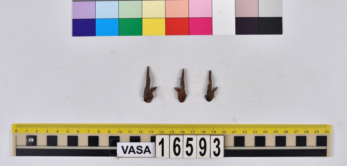 Ben från långa (Molva molva).
274 ben utöver en mängd av oräknade fenstrålar (lepidotrichia) och fenbärare (pterygiophori).
Benen består av 171 ben från olika huvuden och 103 från bål och stjärtar:
73 stjärtkotor (vertebrae caudales),
30 revben (costae),
12 (6+6) cleithra,
8 (5+3) praeopercularia,
7 (4+3) praemaxillaria,
7 (5+2) maxillaria,
7 (5+2) quadrata,
7 (4+3) dentalia,
7 (4+3) supracleithralia ventr.,
6 frontalia,
6 (4+2) ectopterygoidea,
6 (5+1) hyomandibularia,
6 (4+2) articularia,
6 (3+3) keratohyalia,
6 (4+2) scapulae,
5 ectehmoidalia,
5 (2+3) prootica,
5 lacrymalia,
5 (2+3) opercularia,
5 (2+3) interopercularia,
5 (4+1) palatina,
5 epihyalia,
4 (3+1) parietalia,
4 (1+3) pterotica,
4 supraoccipitalia,
4 vomeres,
3 (2+1) sphenotica,
3 exoccipitalia,
3 parasphenoidea,
3 supracleithralia dors.,
3 basipterygia,
2 mesethmoidalia,
1 intercalare,
1 infraorbitale post.,
1 symplecticum,
1 epioticum,
1 epibranchiale,
1 basihyale,
1 coracoideum.