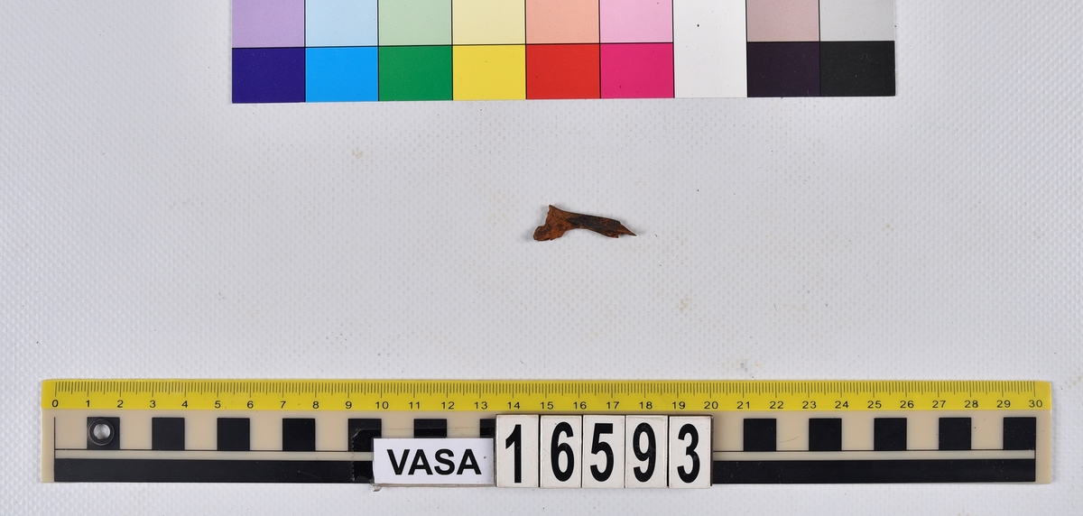 Ben från långa (Molva molva).
274 ben utöver en mängd av oräknade fenstrålar (lepidotrichia) och fenbärare (pterygiophori).
Benen består av 171 ben från olika huvuden och 103 från bål och stjärtar:
73 stjärtkotor (vertebrae caudales),
30 revben (costae),
12 (6+6) cleithra,
8 (5+3) praeopercularia,
7 (4+3) praemaxillaria,
7 (5+2) maxillaria,
7 (5+2) quadrata,
7 (4+3) dentalia,
7 (4+3) supracleithralia ventr.,
6 frontalia,
6 (4+2) ectopterygoidea,
6 (5+1) hyomandibularia,
6 (4+2) articularia,
6 (3+3) keratohyalia,
6 (4+2) scapulae,
5 ectehmoidalia,
5 (2+3) prootica,
5 lacrymalia,
5 (2+3) opercularia,
5 (2+3) interopercularia,
5 (4+1) palatina,
5 epihyalia,
4 (3+1) parietalia,
4 (1+3) pterotica,
4 supraoccipitalia,
4 vomeres,
3 (2+1) sphenotica,
3 exoccipitalia,
3 parasphenoidea,
3 supracleithralia dors.,
3 basipterygia,
2 mesethmoidalia,
1 intercalare,
1 infraorbitale post.,
1 symplecticum,
1 epioticum,
1 epibranchiale,
1 basihyale,
1 coracoideum.