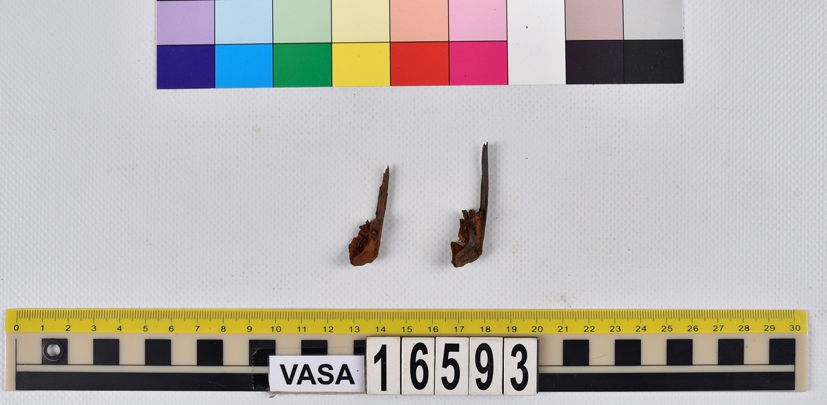 Ben från långa (Molva molva).
274 ben utöver en mängd av oräknade fenstrålar (lepidotrichia) och fenbärare (pterygiophori).
Benen består av 171 ben från olika huvuden och 103 från bål och stjärtar:
73 stjärtkotor (vertebrae caudales),
30 revben (costae),
12 (6+6) cleithra,
8 (5+3) praeopercularia,
7 (4+3) praemaxillaria,
7 (5+2) maxillaria,
7 (5+2) quadrata,
7 (4+3) dentalia,
7 (4+3) supracleithralia ventr.,
6 frontalia,
6 (4+2) ectopterygoidea,
6 (5+1) hyomandibularia,
6 (4+2) articularia,
6 (3+3) keratohyalia,
6 (4+2) scapulae,
5 ectehmoidalia,
5 (2+3) prootica,
5 lacrymalia,
5 (2+3) opercularia,
5 (2+3) interopercularia,
5 (4+1) palatina,
5 epihyalia,
4 (3+1) parietalia,
4 (1+3) pterotica,
4 supraoccipitalia,
4 vomeres,
3 (2+1) sphenotica,
3 exoccipitalia,
3 parasphenoidea,
3 supracleithralia dors.,
3 basipterygia,
2 mesethmoidalia,
1 intercalare,
1 infraorbitale post.,
1 symplecticum,
1 epioticum,
1 epibranchiale,
1 basihyale,
1 coracoideum.