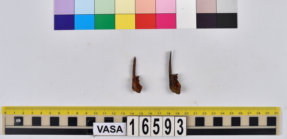 Ben från långa (Molva molva).
274 ben utöver en mängd av oräknade fenstrålar (lepidotrichia) och fenbärare (pterygiophori).
Benen består av 171 ben från olika huvuden och 103 från bål och stjärtar:
73 stjärtkotor (vertebrae caudales),
30 revben (costae),
12 (6+6) cleithra,
8 (5+3) praeopercularia,
7 (4+3) praemaxillaria,
7 (5+2) maxillaria,
7 (5+2) quadrata,
7 (4+3) dentalia,
7 (4+3) supracleithralia ventr.,
6 frontalia,
6 (4+2) ectopterygoidea,
6 (5+1) hyomandibularia,
6 (4+2) articularia,
6 (3+3) keratohyalia,
6 (4+2) scapulae,
5 ectehmoidalia,
5 (2+3) prootica,
5 lacrymalia,
5 (2+3) opercularia,
5 (2+3) interopercularia,
5 (4+1) palatina,
5 epihyalia,
4 (3+1) parietalia,
4 (1+3) pterotica,
4 supraoccipitalia,
4 vomeres,
3 (2+1) sphenotica,
3 exoccipitalia,
3 parasphenoidea,
3 supracleithralia dors.,
3 basipterygia,
2 mesethmoidalia,
1 intercalare,
1 infraorbitale post.,
1 symplecticum,
1 epioticum,
1 epibranchiale,
1 basihyale,
1 coracoideum.