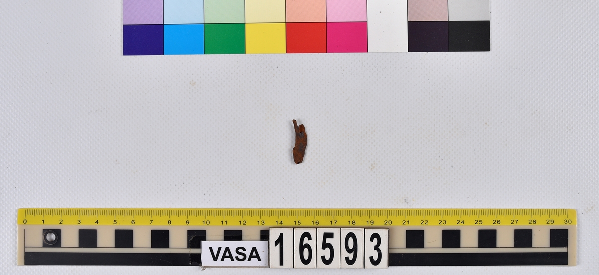 Ben från långa (Molva molva).
274 ben utöver en mängd av oräknade fenstrålar (lepidotrichia) och fenbärare (pterygiophori).
Benen består av 171 ben från olika huvuden och 103 från bål och stjärtar:
73 stjärtkotor (vertebrae caudales),
30 revben (costae),
12 (6+6) cleithra,
8 (5+3) praeopercularia,
7 (4+3) praemaxillaria,
7 (5+2) maxillaria,
7 (5+2) quadrata,
7 (4+3) dentalia,
7 (4+3) supracleithralia ventr.,
6 frontalia,
6 (4+2) ectopterygoidea,
6 (5+1) hyomandibularia,
6 (4+2) articularia,
6 (3+3) keratohyalia,
6 (4+2) scapulae,
5 ectehmoidalia,
5 (2+3) prootica,
5 lacrymalia,
5 (2+3) opercularia,
5 (2+3) interopercularia,
5 (4+1) palatina,
5 epihyalia,
4 (3+1) parietalia,
4 (1+3) pterotica,
4 supraoccipitalia,
4 vomeres,
3 (2+1) sphenotica,
3 exoccipitalia,
3 parasphenoidea,
3 supracleithralia dors.,
3 basipterygia,
2 mesethmoidalia,
1 intercalare,
1 infraorbitale post.,
1 symplecticum,
1 epioticum,
1 epibranchiale,
1 basihyale,
1 coracoideum.