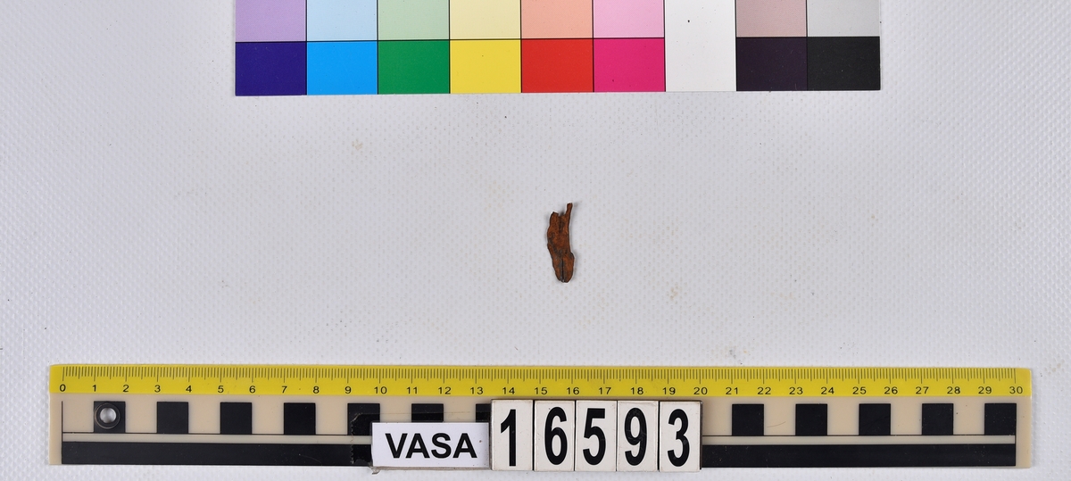Ben från långa (Molva molva).
274 ben utöver en mängd av oräknade fenstrålar (lepidotrichia) och fenbärare (pterygiophori).
Benen består av 171 ben från olika huvuden och 103 från bål och stjärtar:
73 stjärtkotor (vertebrae caudales),
30 revben (costae),
12 (6+6) cleithra,
8 (5+3) praeopercularia,
7 (4+3) praemaxillaria,
7 (5+2) maxillaria,
7 (5+2) quadrata,
7 (4+3) dentalia,
7 (4+3) supracleithralia ventr.,
6 frontalia,
6 (4+2) ectopterygoidea,
6 (5+1) hyomandibularia,
6 (4+2) articularia,
6 (3+3) keratohyalia,
6 (4+2) scapulae,
5 ectehmoidalia,
5 (2+3) prootica,
5 lacrymalia,
5 (2+3) opercularia,
5 (2+3) interopercularia,
5 (4+1) palatina,
5 epihyalia,
4 (3+1) parietalia,
4 (1+3) pterotica,
4 supraoccipitalia,
4 vomeres,
3 (2+1) sphenotica,
3 exoccipitalia,
3 parasphenoidea,
3 supracleithralia dors.,
3 basipterygia,
2 mesethmoidalia,
1 intercalare,
1 infraorbitale post.,
1 symplecticum,
1 epioticum,
1 epibranchiale,
1 basihyale,
1 coracoideum.