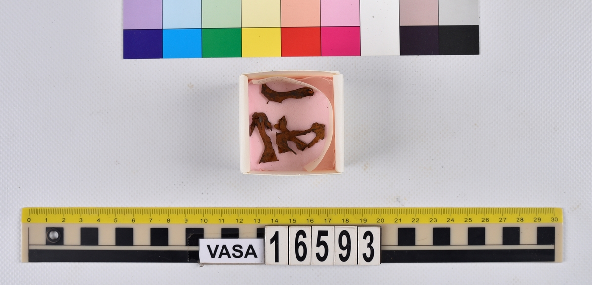 Ben från långa (Molva molva).
274 ben utöver en mängd av oräknade fenstrålar (lepidotrichia) och fenbärare (pterygiophori).
Benen består av 171 ben från olika huvuden och 103 från bål och stjärtar:
73 stjärtkotor (vertebrae caudales),
30 revben (costae),
12 (6+6) cleithra,
8 (5+3) praeopercularia,
7 (4+3) praemaxillaria,
7 (5+2) maxillaria,
7 (5+2) quadrata,
7 (4+3) dentalia,
7 (4+3) supracleithralia ventr.,
6 frontalia,
6 (4+2) ectopterygoidea,
6 (5+1) hyomandibularia,
6 (4+2) articularia,
6 (3+3) keratohyalia,
6 (4+2) scapulae,
5 ectehmoidalia,
5 (2+3) prootica,
5 lacrymalia,
5 (2+3) opercularia,
5 (2+3) interopercularia,
5 (4+1) palatina,
5 epihyalia,
4 (3+1) parietalia,
4 (1+3) pterotica,
4 supraoccipitalia,
4 vomeres,
3 (2+1) sphenotica,
3 exoccipitalia,
3 parasphenoidea,
3 supracleithralia dors.,
3 basipterygia,
2 mesethmoidalia,
1 intercalare,
1 infraorbitale post.,
1 symplecticum,
1 epioticum,
1 epibranchiale,
1 basihyale,
1 coracoideum.