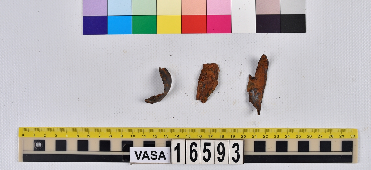 Ben från långa (Molva molva).
274 ben utöver en mängd av oräknade fenstrålar (lepidotrichia) och fenbärare (pterygiophori).
Benen består av 171 ben från olika huvuden och 103 från bål och stjärtar:
73 stjärtkotor (vertebrae caudales),
30 revben (costae),
12 (6+6) cleithra,
8 (5+3) praeopercularia,
7 (4+3) praemaxillaria,
7 (5+2) maxillaria,
7 (5+2) quadrata,
7 (4+3) dentalia,
7 (4+3) supracleithralia ventr.,
6 frontalia,
6 (4+2) ectopterygoidea,
6 (5+1) hyomandibularia,
6 (4+2) articularia,
6 (3+3) keratohyalia,
6 (4+2) scapulae,
5 ectehmoidalia,
5 (2+3) prootica,
5 lacrymalia,
5 (2+3) opercularia,
5 (2+3) interopercularia,
5 (4+1) palatina,
5 epihyalia,
4 (3+1) parietalia,
4 (1+3) pterotica,
4 supraoccipitalia,
4 vomeres,
3 (2+1) sphenotica,
3 exoccipitalia,
3 parasphenoidea,
3 supracleithralia dors.,
3 basipterygia,
2 mesethmoidalia,
1 intercalare,
1 infraorbitale post.,
1 symplecticum,
1 epioticum,
1 epibranchiale,
1 basihyale,
1 coracoideum.