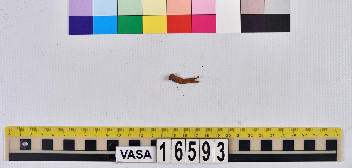 Ben från långa (Molva molva).
274 ben utöver en mängd av oräknade fenstrålar (lepidotrichia) och fenbärare (pterygiophori).
Benen består av 171 ben från olika huvuden och 103 från bål och stjärtar:
73 stjärtkotor (vertebrae caudales),
30 revben (costae),
12 (6+6) cleithra,
8 (5+3) praeopercularia,
7 (4+3) praemaxillaria,
7 (5+2) maxillaria,
7 (5+2) quadrata,
7 (4+3) dentalia,
7 (4+3) supracleithralia ventr.,
6 frontalia,
6 (4+2) ectopterygoidea,
6 (5+1) hyomandibularia,
6 (4+2) articularia,
6 (3+3) keratohyalia,
6 (4+2) scapulae,
5 ectehmoidalia,
5 (2+3) prootica,
5 lacrymalia,
5 (2+3) opercularia,
5 (2+3) interopercularia,
5 (4+1) palatina,
5 epihyalia,
4 (3+1) parietalia,
4 (1+3) pterotica,
4 supraoccipitalia,
4 vomeres,
3 (2+1) sphenotica,
3 exoccipitalia,
3 parasphenoidea,
3 supracleithralia dors.,
3 basipterygia,
2 mesethmoidalia,
1 intercalare,
1 infraorbitale post.,
1 symplecticum,
1 epioticum,
1 epibranchiale,
1 basihyale,
1 coracoideum.