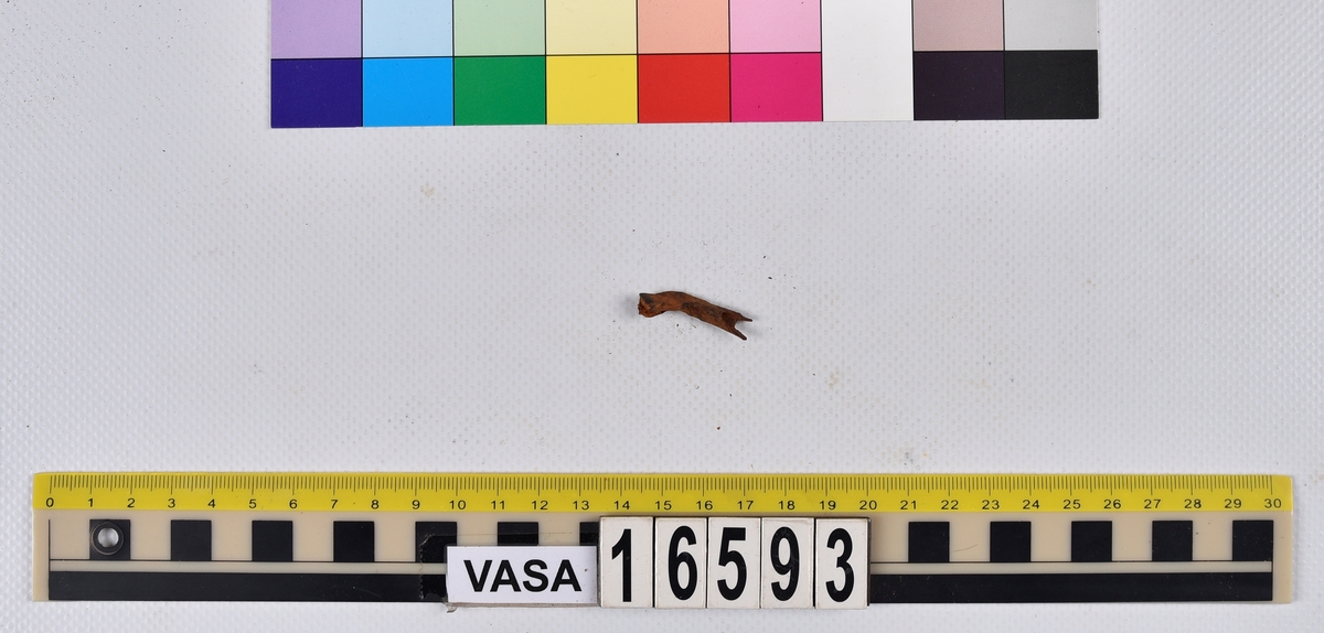 Ben från långa (Molva molva).
274 ben utöver en mängd av oräknade fenstrålar (lepidotrichia) och fenbärare (pterygiophori).
Benen består av 171 ben från olika huvuden och 103 från bål och stjärtar:
73 stjärtkotor (vertebrae caudales),
30 revben (costae),
12 (6+6) cleithra,
8 (5+3) praeopercularia,
7 (4+3) praemaxillaria,
7 (5+2) maxillaria,
7 (5+2) quadrata,
7 (4+3) dentalia,
7 (4+3) supracleithralia ventr.,
6 frontalia,
6 (4+2) ectopterygoidea,
6 (5+1) hyomandibularia,
6 (4+2) articularia,
6 (3+3) keratohyalia,
6 (4+2) scapulae,
5 ectehmoidalia,
5 (2+3) prootica,
5 lacrymalia,
5 (2+3) opercularia,
5 (2+3) interopercularia,
5 (4+1) palatina,
5 epihyalia,
4 (3+1) parietalia,
4 (1+3) pterotica,
4 supraoccipitalia,
4 vomeres,
3 (2+1) sphenotica,
3 exoccipitalia,
3 parasphenoidea,
3 supracleithralia dors.,
3 basipterygia,
2 mesethmoidalia,
1 intercalare,
1 infraorbitale post.,
1 symplecticum,
1 epioticum,
1 epibranchiale,
1 basihyale,
1 coracoideum.