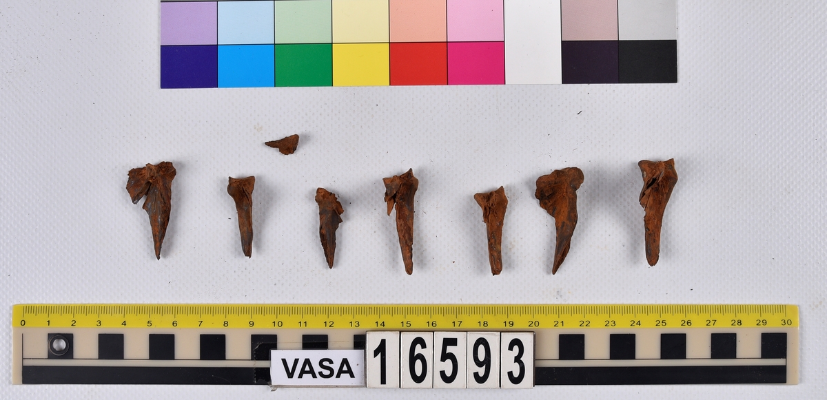 Ben från långa (Molva molva).
274 ben utöver en mängd av oräknade fenstrålar (lepidotrichia) och fenbärare (pterygiophori).
Benen består av 171 ben från olika huvuden och 103 från bål och stjärtar:
73 stjärtkotor (vertebrae caudales),
30 revben (costae),
12 (6+6) cleithra,
8 (5+3) praeopercularia,
7 (4+3) praemaxillaria,
7 (5+2) maxillaria,
7 (5+2) quadrata,
7 (4+3) dentalia,
7 (4+3) supracleithralia ventr.,
6 frontalia,
6 (4+2) ectopterygoidea,
6 (5+1) hyomandibularia,
6 (4+2) articularia,
6 (3+3) keratohyalia,
6 (4+2) scapulae,
5 ectehmoidalia,
5 (2+3) prootica,
5 lacrymalia,
5 (2+3) opercularia,
5 (2+3) interopercularia,
5 (4+1) palatina,
5 epihyalia,
4 (3+1) parietalia,
4 (1+3) pterotica,
4 supraoccipitalia,
4 vomeres,
3 (2+1) sphenotica,
3 exoccipitalia,
3 parasphenoidea,
3 supracleithralia dors.,
3 basipterygia,
2 mesethmoidalia,
1 intercalare,
1 infraorbitale post.,
1 symplecticum,
1 epioticum,
1 epibranchiale,
1 basihyale,
1 coracoideum.