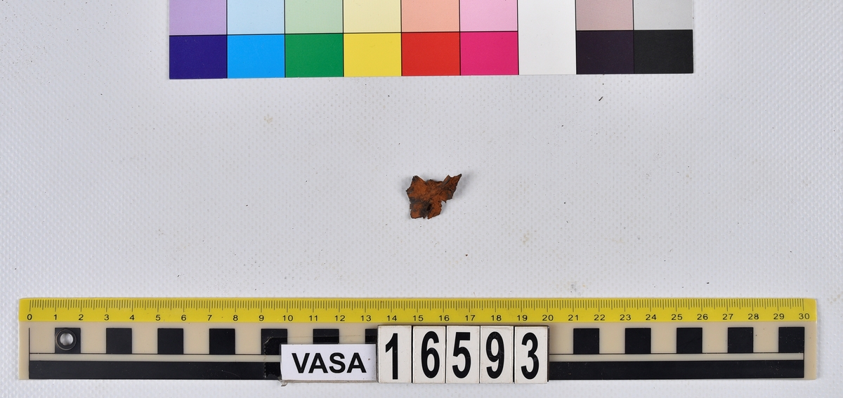 Ben från långa (Molva molva).
274 ben utöver en mängd av oräknade fenstrålar (lepidotrichia) och fenbärare (pterygiophori).
Benen består av 171 ben från olika huvuden och 103 från bål och stjärtar:
73 stjärtkotor (vertebrae caudales),
30 revben (costae),
12 (6+6) cleithra,
8 (5+3) praeopercularia,
7 (4+3) praemaxillaria,
7 (5+2) maxillaria,
7 (5+2) quadrata,
7 (4+3) dentalia,
7 (4+3) supracleithralia ventr.,
6 frontalia,
6 (4+2) ectopterygoidea,
6 (5+1) hyomandibularia,
6 (4+2) articularia,
6 (3+3) keratohyalia,
6 (4+2) scapulae,
5 ectehmoidalia,
5 (2+3) prootica,
5 lacrymalia,
5 (2+3) opercularia,
5 (2+3) interopercularia,
5 (4+1) palatina,
5 epihyalia,
4 (3+1) parietalia,
4 (1+3) pterotica,
4 supraoccipitalia,
4 vomeres,
3 (2+1) sphenotica,
3 exoccipitalia,
3 parasphenoidea,
3 supracleithralia dors.,
3 basipterygia,
2 mesethmoidalia,
1 intercalare,
1 infraorbitale post.,
1 symplecticum,
1 epioticum,
1 epibranchiale,
1 basihyale,
1 coracoideum.