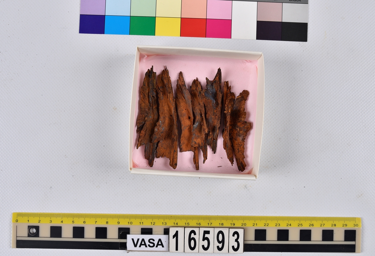 Ben från långa (Molva molva).
274 ben utöver en mängd av oräknade fenstrålar (lepidotrichia) och fenbärare (pterygiophori).
Benen består av 171 ben från olika huvuden och 103 från bål och stjärtar:
73 stjärtkotor (vertebrae caudales),
30 revben (costae),
12 (6+6) cleithra,
8 (5+3) praeopercularia,
7 (4+3) praemaxillaria,
7 (5+2) maxillaria,
7 (5+2) quadrata,
7 (4+3) dentalia,
7 (4+3) supracleithralia ventr.,
6 frontalia,
6 (4+2) ectopterygoidea,
6 (5+1) hyomandibularia,
6 (4+2) articularia,
6 (3+3) keratohyalia,
6 (4+2) scapulae,
5 ectehmoidalia,
5 (2+3) prootica,
5 lacrymalia,
5 (2+3) opercularia,
5 (2+3) interopercularia,
5 (4+1) palatina,
5 epihyalia,
4 (3+1) parietalia,
4 (1+3) pterotica,
4 supraoccipitalia,
4 vomeres,
3 (2+1) sphenotica,
3 exoccipitalia,
3 parasphenoidea,
3 supracleithralia dors.,
3 basipterygia,
2 mesethmoidalia,
1 intercalare,
1 infraorbitale post.,
1 symplecticum,
1 epioticum,
1 epibranchiale,
1 basihyale,
1 coracoideum.