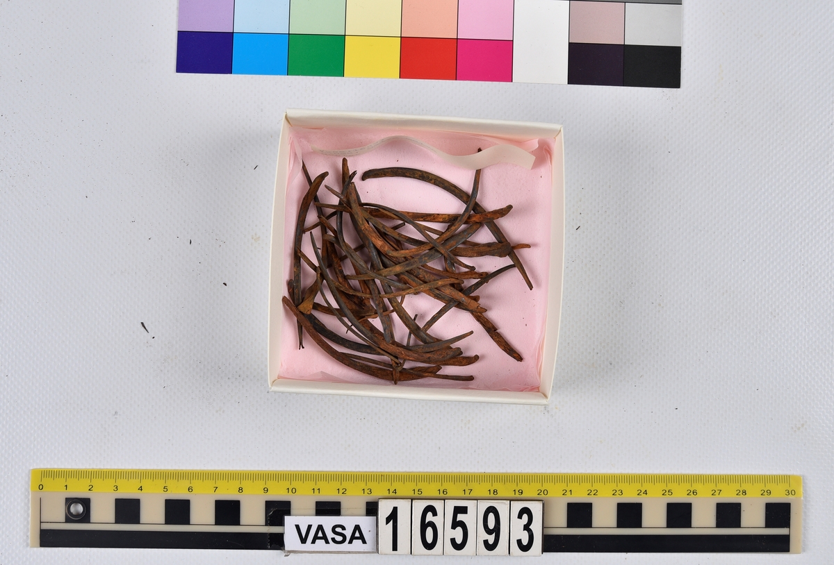 Ben från långa (Molva molva).
274 ben utöver en mängd av oräknade fenstrålar (lepidotrichia) och fenbärare (pterygiophori).
Benen består av 171 ben från olika huvuden och 103 från bål och stjärtar:
73 stjärtkotor (vertebrae caudales),
30 revben (costae),
12 (6+6) cleithra,
8 (5+3) praeopercularia,
7 (4+3) praemaxillaria,
7 (5+2) maxillaria,
7 (5+2) quadrata,
7 (4+3) dentalia,
7 (4+3) supracleithralia ventr.,
6 frontalia,
6 (4+2) ectopterygoidea,
6 (5+1) hyomandibularia,
6 (4+2) articularia,
6 (3+3) keratohyalia,
6 (4+2) scapulae,
5 ectehmoidalia,
5 (2+3) prootica,
5 lacrymalia,
5 (2+3) opercularia,
5 (2+3) interopercularia,
5 (4+1) palatina,
5 epihyalia,
4 (3+1) parietalia,
4 (1+3) pterotica,
4 supraoccipitalia,
4 vomeres,
3 (2+1) sphenotica,
3 exoccipitalia,
3 parasphenoidea,
3 supracleithralia dors.,
3 basipterygia,
2 mesethmoidalia,
1 intercalare,
1 infraorbitale post.,
1 symplecticum,
1 epioticum,
1 epibranchiale,
1 basihyale,
1 coracoideum.