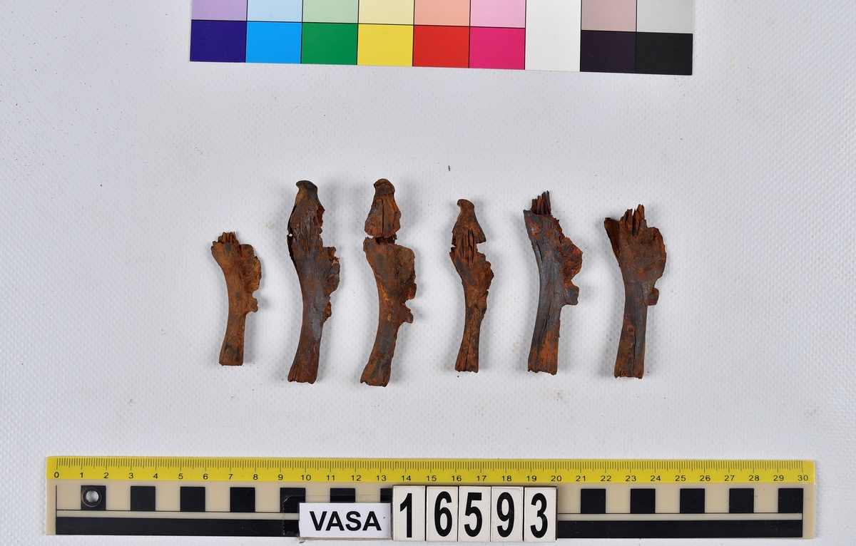 Ben från långa (Molva molva).
274 ben utöver en mängd av oräknade fenstrålar (lepidotrichia) och fenbärare (pterygiophori).
Benen består av 171 ben från olika huvuden och 103 från bål och stjärtar:
73 stjärtkotor (vertebrae caudales),
30 revben (costae),
12 (6+6) cleithra,
8 (5+3) praeopercularia,
7 (4+3) praemaxillaria,
7 (5+2) maxillaria,
7 (5+2) quadrata,
7 (4+3) dentalia,
7 (4+3) supracleithralia ventr.,
6 frontalia,
6 (4+2) ectopterygoidea,
6 (5+1) hyomandibularia,
6 (4+2) articularia,
6 (3+3) keratohyalia,
6 (4+2) scapulae,
5 ectehmoidalia,
5 (2+3) prootica,
5 lacrymalia,
5 (2+3) opercularia,
5 (2+3) interopercularia,
5 (4+1) palatina,
5 epihyalia,
4 (3+1) parietalia,
4 (1+3) pterotica,
4 supraoccipitalia,
4 vomeres,
3 (2+1) sphenotica,
3 exoccipitalia,
3 parasphenoidea,
3 supracleithralia dors.,
3 basipterygia,
2 mesethmoidalia,
1 intercalare,
1 infraorbitale post.,
1 symplecticum,
1 epioticum,
1 epibranchiale,
1 basihyale,
1 coracoideum.