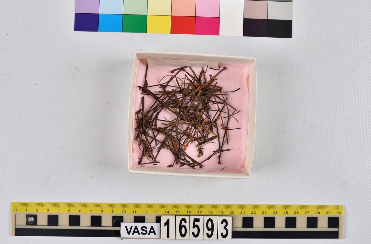 Ben från långa (Molva molva).
274 ben utöver en mängd av oräknade fenstrålar (lepidotrichia) och fenbärare (pterygiophori).
Benen består av 171 ben från olika huvuden och 103 från bål och stjärtar:
73 stjärtkotor (vertebrae caudales),
30 revben (costae),
12 (6+6) cleithra,
8 (5+3) praeopercularia,
7 (4+3) praemaxillaria,
7 (5+2) maxillaria,
7 (5+2) quadrata,
7 (4+3) dentalia,
7 (4+3) supracleithralia ventr.,
6 frontalia,
6 (4+2) ectopterygoidea,
6 (5+1) hyomandibularia,
6 (4+2) articularia,
6 (3+3) keratohyalia,
6 (4+2) scapulae,
5 ectehmoidalia,
5 (2+3) prootica,
5 lacrymalia,
5 (2+3) opercularia,
5 (2+3) interopercularia,
5 (4+1) palatina,
5 epihyalia,
4 (3+1) parietalia,
4 (1+3) pterotica,
4 supraoccipitalia,
4 vomeres,
3 (2+1) sphenotica,
3 exoccipitalia,
3 parasphenoidea,
3 supracleithralia dors.,
3 basipterygia,
2 mesethmoidalia,
1 intercalare,
1 infraorbitale post.,
1 symplecticum,
1 epioticum,
1 epibranchiale,
1 basihyale,
1 coracoideum.