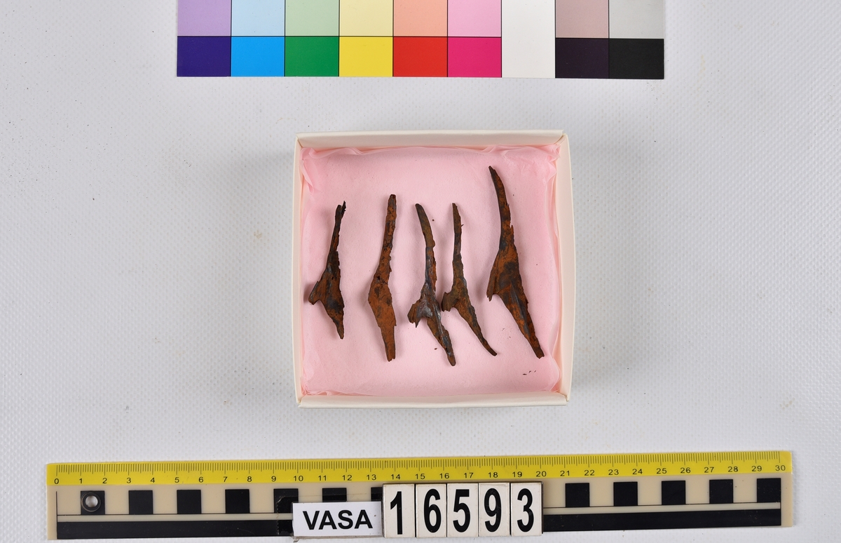 Ben från långa (Molva molva).
274 ben utöver en mängd av oräknade fenstrålar (lepidotrichia) och fenbärare (pterygiophori).
Benen består av 171 ben från olika huvuden och 103 från bål och stjärtar:
73 stjärtkotor (vertebrae caudales),
30 revben (costae),
12 (6+6) cleithra,
8 (5+3) praeopercularia,
7 (4+3) praemaxillaria,
7 (5+2) maxillaria,
7 (5+2) quadrata,
7 (4+3) dentalia,
7 (4+3) supracleithralia ventr.,
6 frontalia,
6 (4+2) ectopterygoidea,
6 (5+1) hyomandibularia,
6 (4+2) articularia,
6 (3+3) keratohyalia,
6 (4+2) scapulae,
5 ectehmoidalia,
5 (2+3) prootica,
5 lacrymalia,
5 (2+3) opercularia,
5 (2+3) interopercularia,
5 (4+1) palatina,
5 epihyalia,
4 (3+1) parietalia,
4 (1+3) pterotica,
4 supraoccipitalia,
4 vomeres,
3 (2+1) sphenotica,
3 exoccipitalia,
3 parasphenoidea,
3 supracleithralia dors.,
3 basipterygia,
2 mesethmoidalia,
1 intercalare,
1 infraorbitale post.,
1 symplecticum,
1 epioticum,
1 epibranchiale,
1 basihyale,
1 coracoideum.