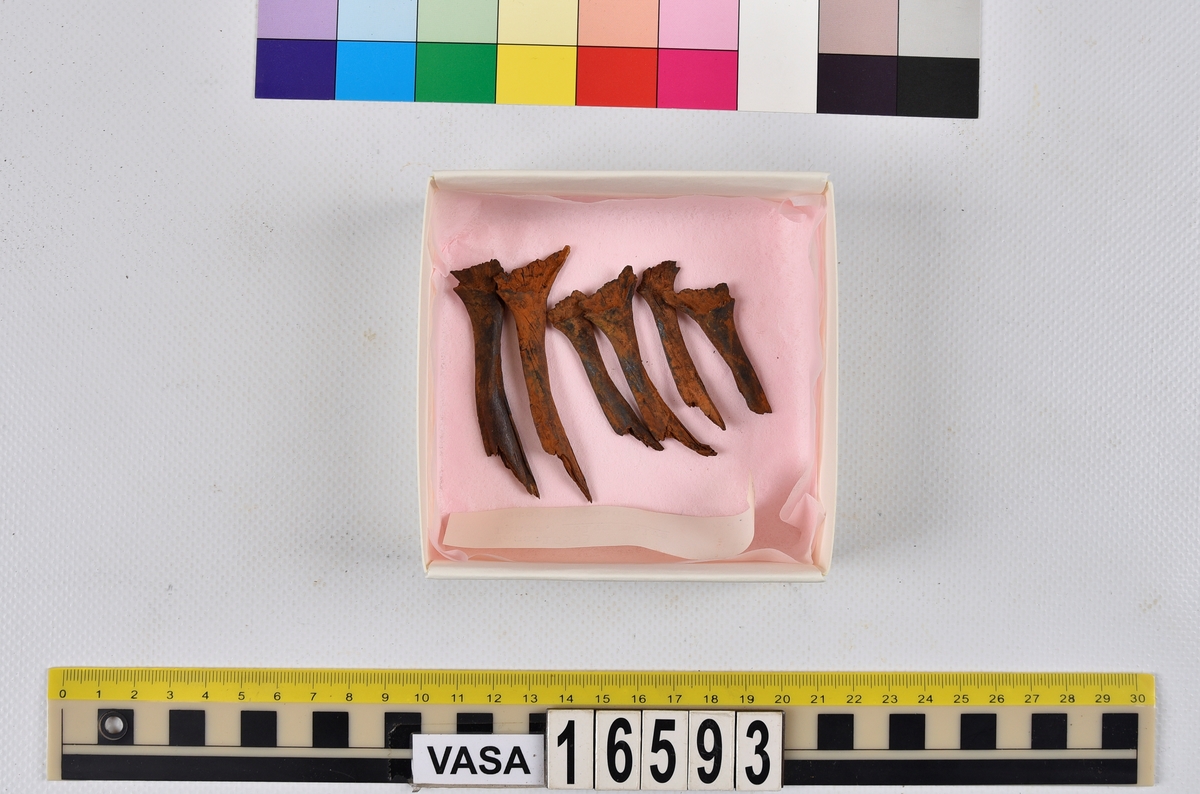 Ben från långa (Molva molva).
274 ben utöver en mängd av oräknade fenstrålar (lepidotrichia) och fenbärare (pterygiophori).
Benen består av 171 ben från olika huvuden och 103 från bål och stjärtar:
73 stjärtkotor (vertebrae caudales),
30 revben (costae),
12 (6+6) cleithra,
8 (5+3) praeopercularia,
7 (4+3) praemaxillaria,
7 (5+2) maxillaria,
7 (5+2) quadrata,
7 (4+3) dentalia,
7 (4+3) supracleithralia ventr.,
6 frontalia,
6 (4+2) ectopterygoidea,
6 (5+1) hyomandibularia,
6 (4+2) articularia,
6 (3+3) keratohyalia,
6 (4+2) scapulae,
5 ectehmoidalia,
5 (2+3) prootica,
5 lacrymalia,
5 (2+3) opercularia,
5 (2+3) interopercularia,
5 (4+1) palatina,
5 epihyalia,
4 (3+1) parietalia,
4 (1+3) pterotica,
4 supraoccipitalia,
4 vomeres,
3 (2+1) sphenotica,
3 exoccipitalia,
3 parasphenoidea,
3 supracleithralia dors.,
3 basipterygia,
2 mesethmoidalia,
1 intercalare,
1 infraorbitale post.,
1 symplecticum,
1 epioticum,
1 epibranchiale,
1 basihyale,
1 coracoideum.