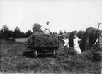 Ferm, Öst (?). Foto 1908.