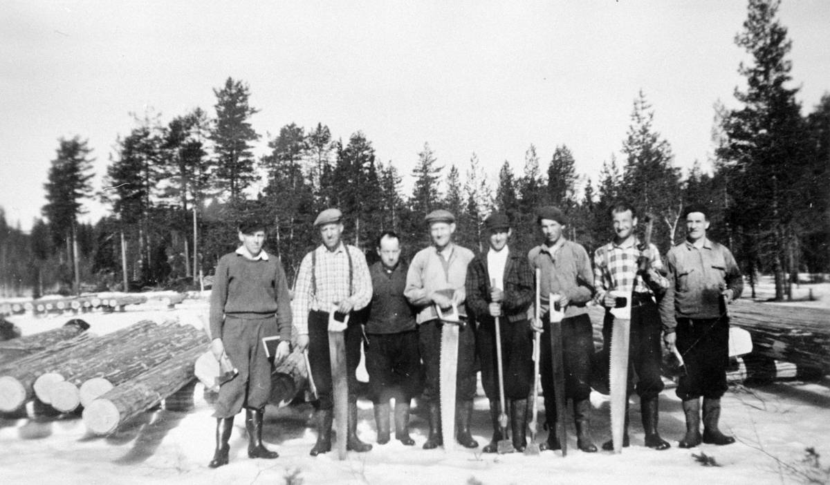 Romedal almenning, Stange.  Skogbruk,skogsarbeider,ukjente, redskaper, tømmer,