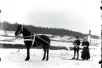 Ernst Hagman med fru Ester född Vogel åkande skidor efter häst.
Fotograf E Sörman.