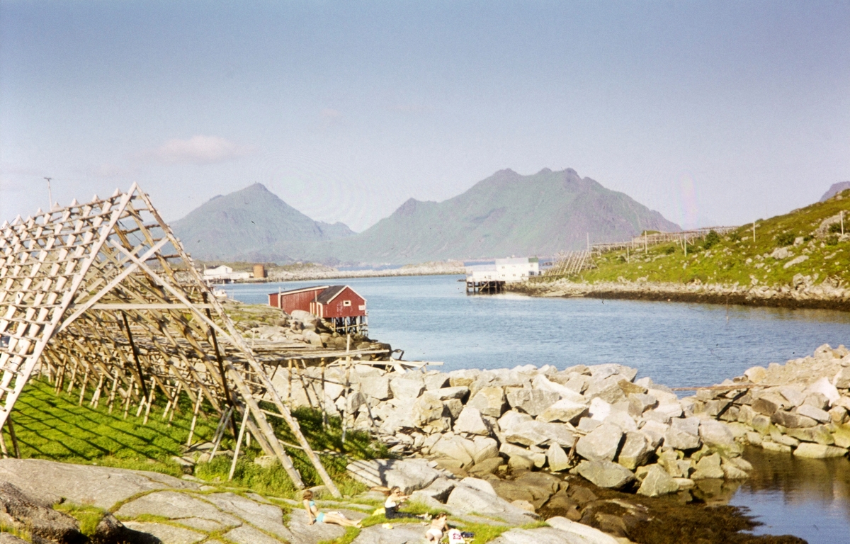 Landskap i Lofoten, med fiskehjell i forgrunnen og fjell i bakgrunnen.