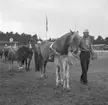 Gävleutställningen 1946
arrangerades 21 juni - 4 augusti. En utställning med anledning av Gävle stads 500-årsjubileum. På 350.000 kv.m. visade 530 utställare sina produkter. Utställningen besöktes av ca 760.000 personer.

Lantbruk