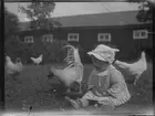 Här sitter Sören Brundin, kanske 1 år 1923, i Hemlinggrind, där han intresserar sig för tuppar och hönor.