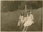 Tre okända flickor. Samma bild som bild nr EB 253.