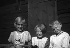 Eva Brundin med en kattunge, arrendatorns dotter Karin Lundberg med egen kattunge och Sören Brundin.