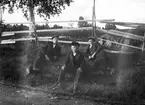 Unga män sitter vid gärdesgården.            Tidsomfånget är 1900 - 1940
