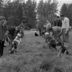 Hunddressyrkurs.
27 september 1955.