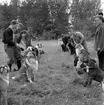 Hunddressyrkurs.
27 september 1955.