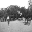 Hundutställning i Folkparken.
27 september 1955.