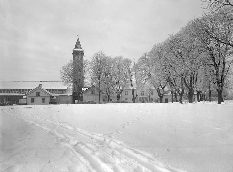 Ingelstad säteri med tennishallen och utsiktstorn, parken i vinterskrud. Tidigt 1900-tal.