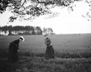 Ida och Hanna. Åby. Den 4 juni 1906.