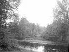 Vy över parken. År 1906.