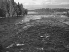Dalälven vid Gysinge.