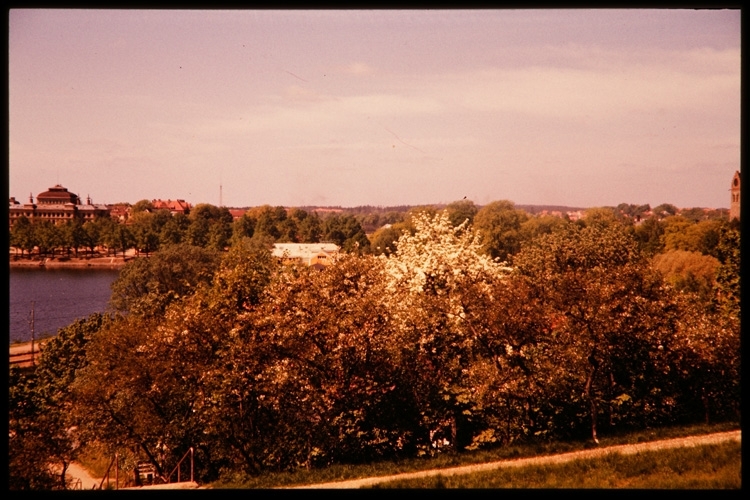 Växjö sett från Staglaberget, 1956.