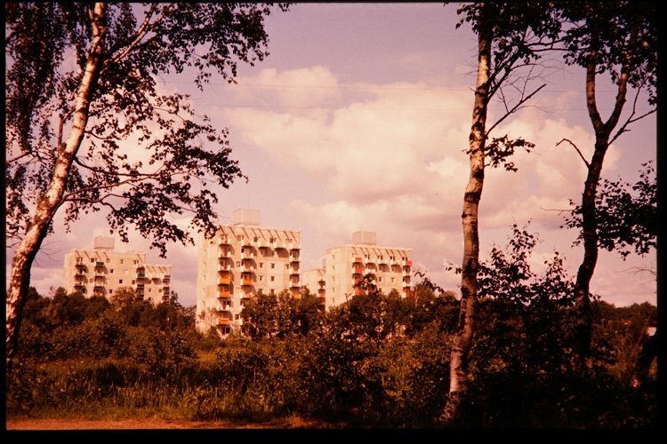 Spetsamossen i Växjö, 1956. I bakgrunden Lassaskog med Erskines höghus, kv. Lassaskog 5.