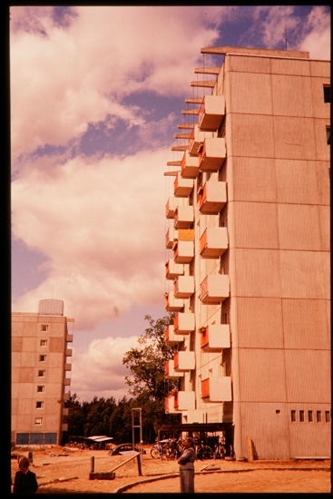 Lassaskog, Växjö 1956.
