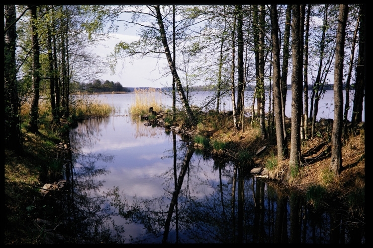 Furutåviken i Södra Bergundasjön. Kanalen från Växjösjön. Växjö, 1974.